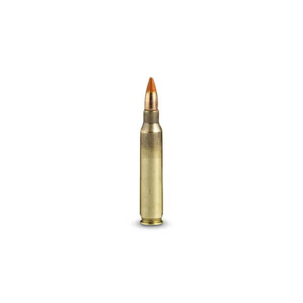 Ammo-223-Pof