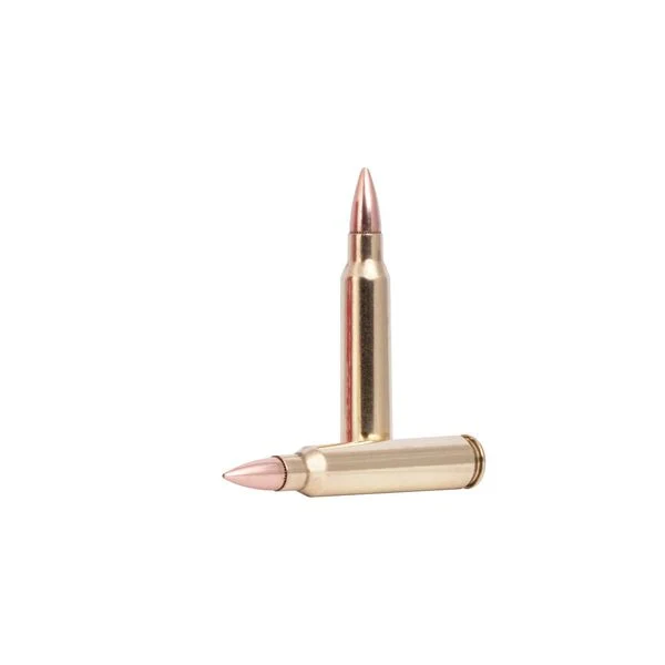 Ammo-223-American